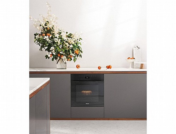 DGC 7460  clst/black/grey ���� DGC7460 XXL Black ���� 60 ����� ����� VITRO LINE