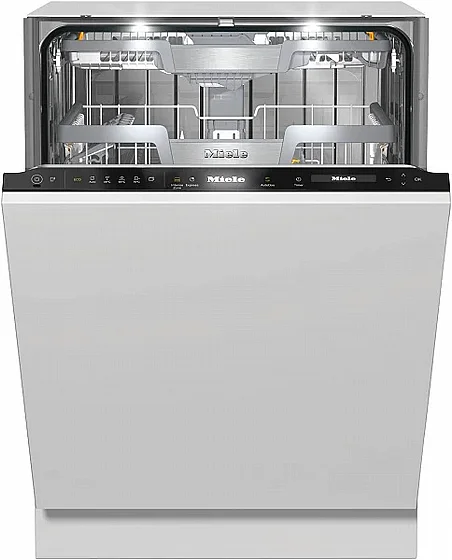 ���� ���� G 7965 SCVI XXL �������� ���