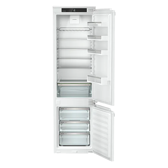 ���� ����� ����� ICNd 5603