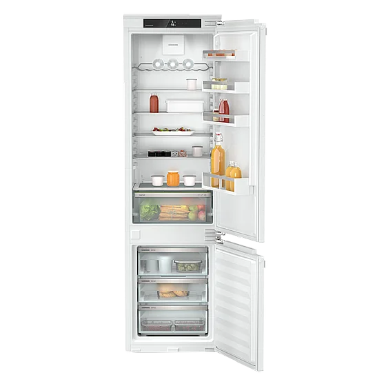 ���� ����� ����� ICNd 5603